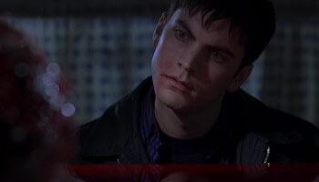 American Beauty