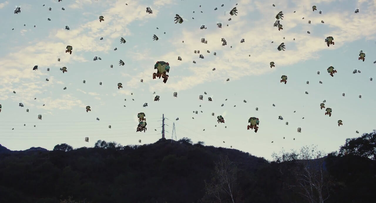 CICADA!